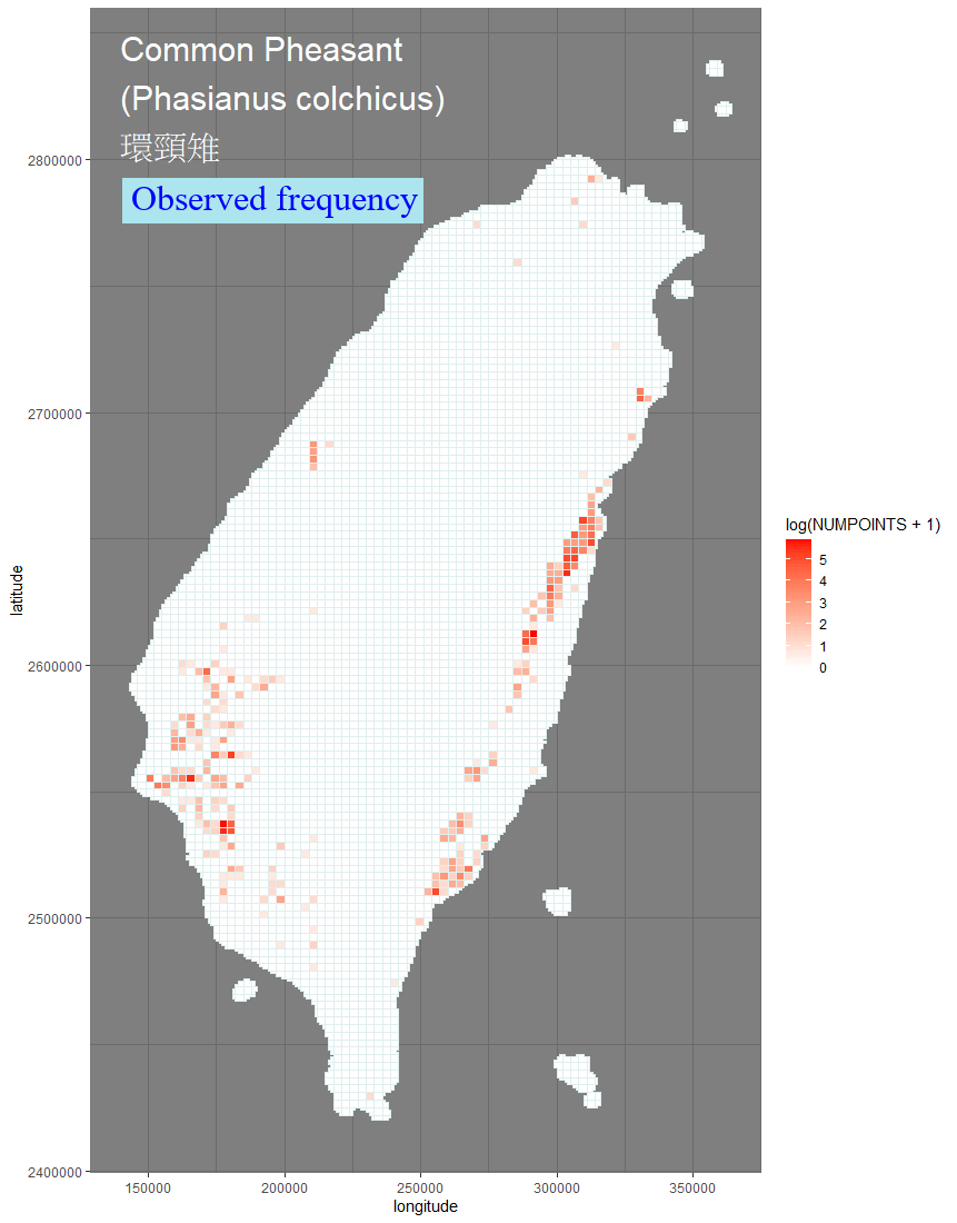 Anas platyrhynchos