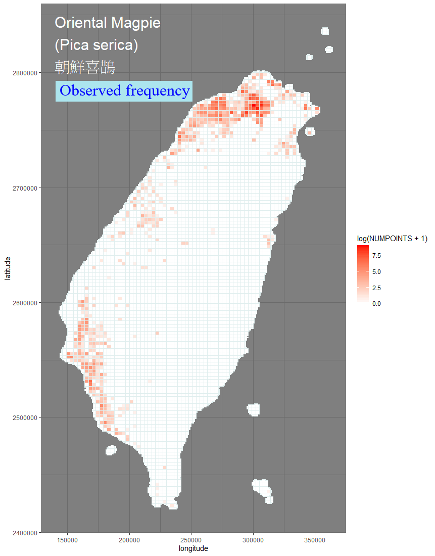 Anas platyrhynchos