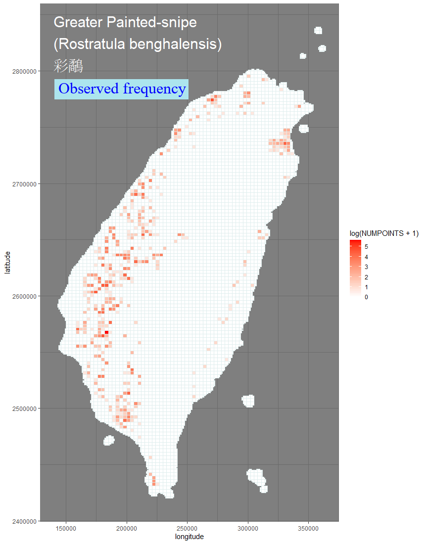 Anas platyrhynchos