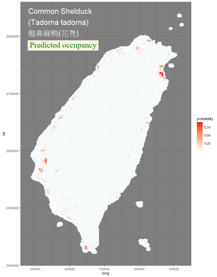 Anas platyrhynchos