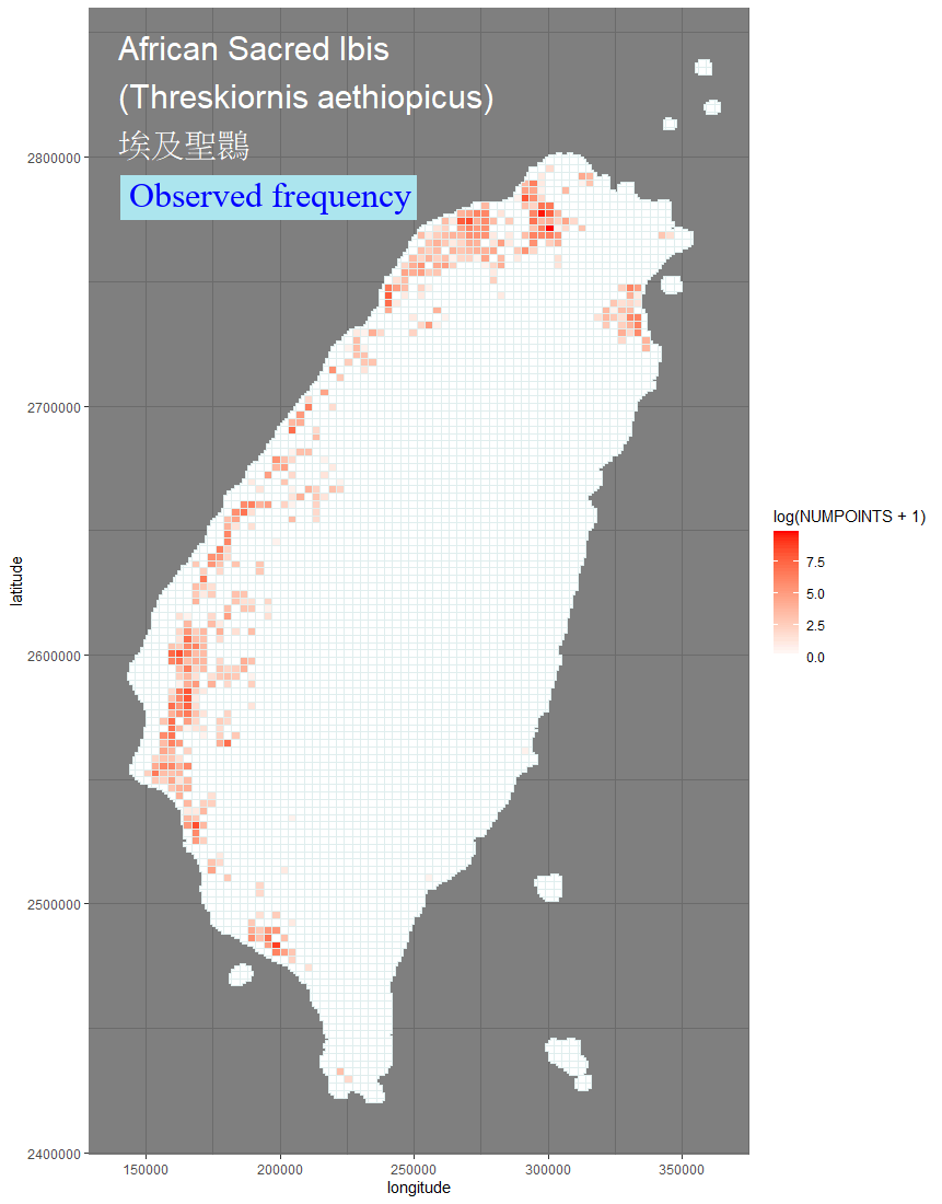 Anas platyrhynchos