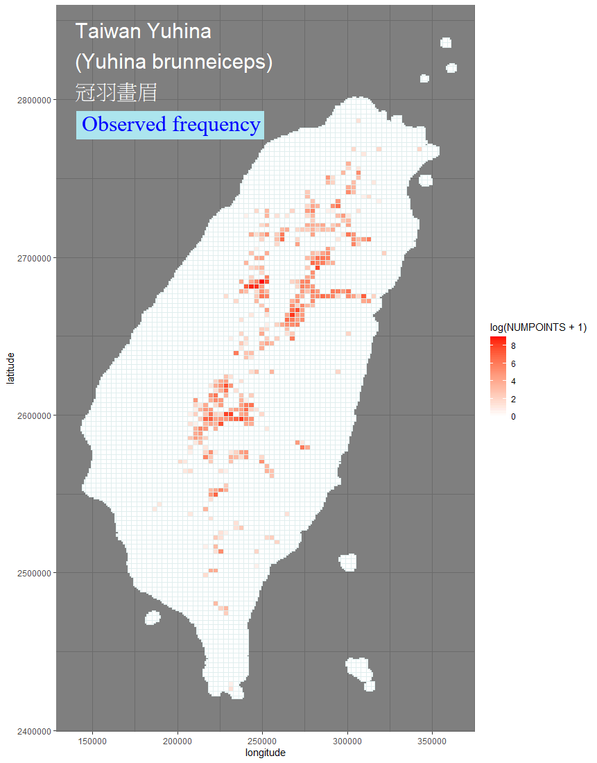 Anas platyrhynchos